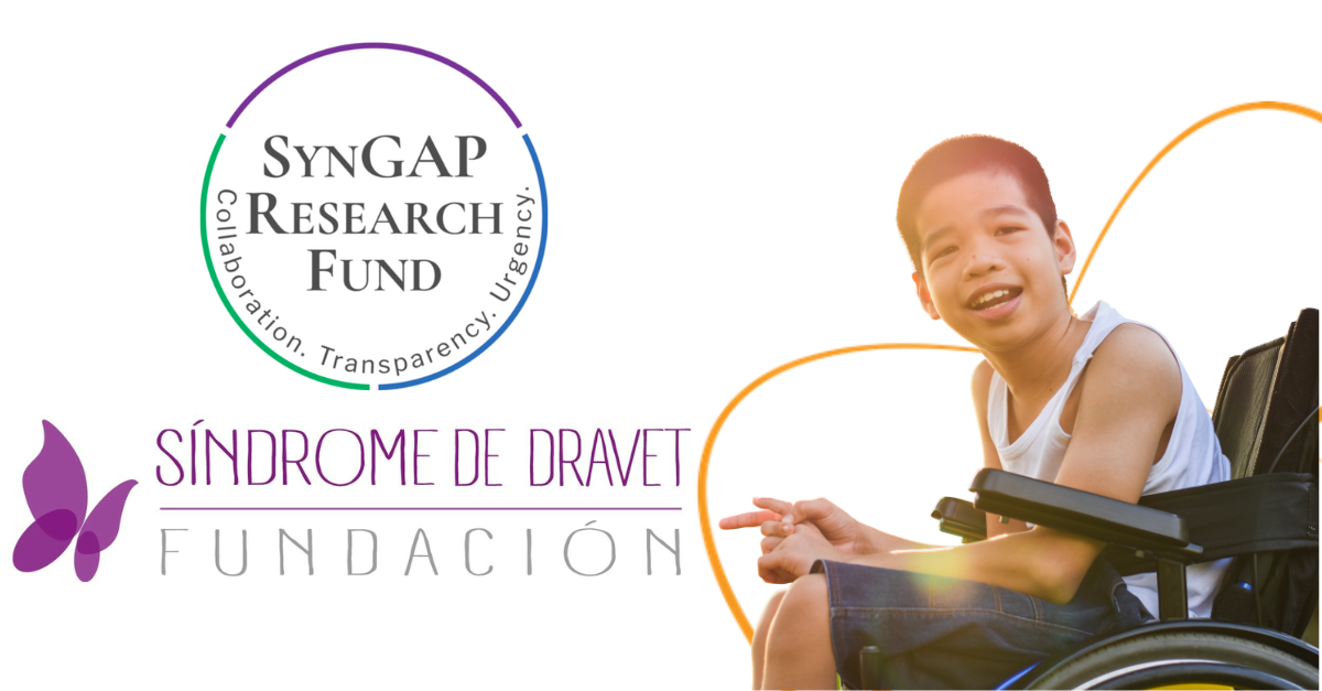 SynGAP Research Fund and Dravet Syndrome Foundation Spain join the